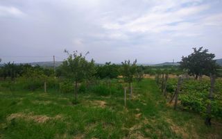 Casa + garaj + 5400 mp teren in Tomesti Goruni, zona de vis, nu rata - Poză 12