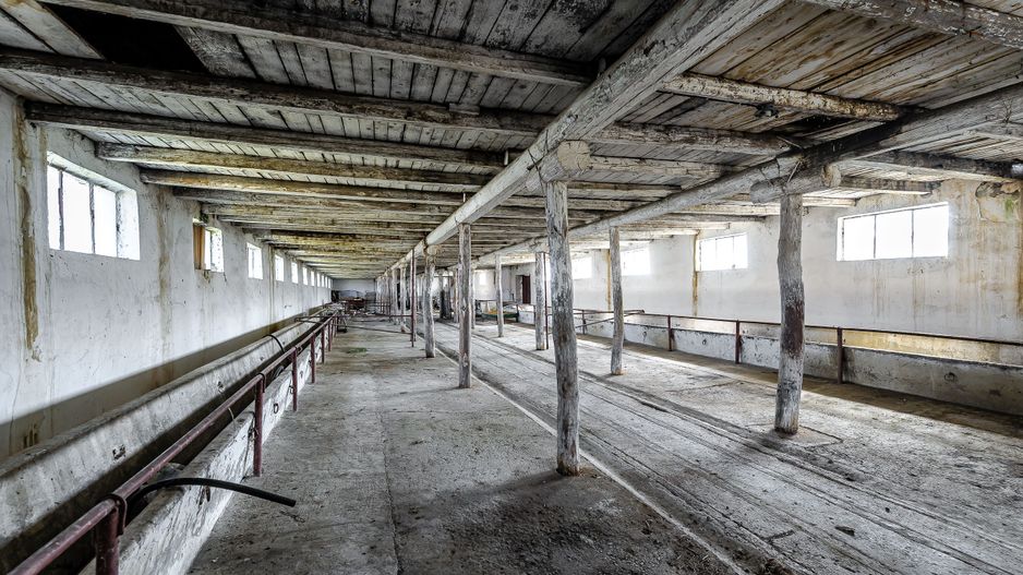 Fermă Mândruloc 2,5 ha - Poză 2