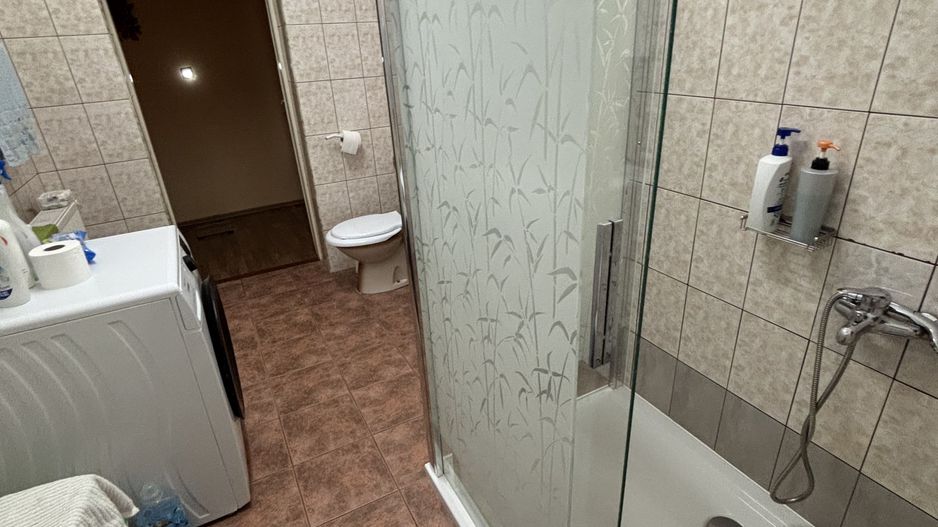 Casa cu teren și grădina zona Bogdanestilor - Poză 13