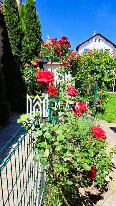 Casa cu 5 camere individuala | Teren 500 | Zona Cartierul Turnisor - Poză 3