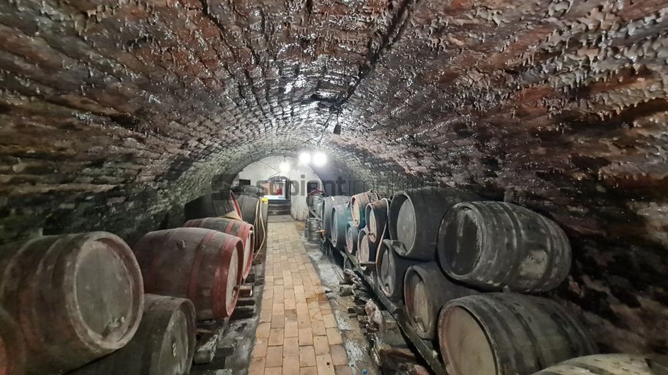 SAPIENT/TEREN INTRAVILAN 600 MP CU ANEXE ȘI PIVNITE - EPISCOPIA - Poză 7