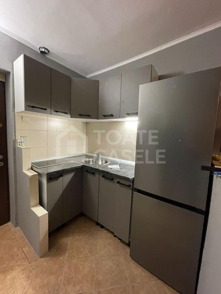 Garsonierea mobilata, zona Electrica - Poză 5