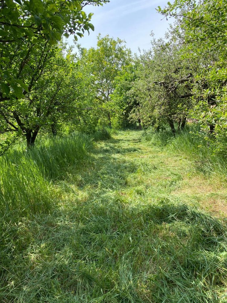 BRASADAS vinde casa cu 3 cam teren 17 ari zona Titulescu. - Poză 6