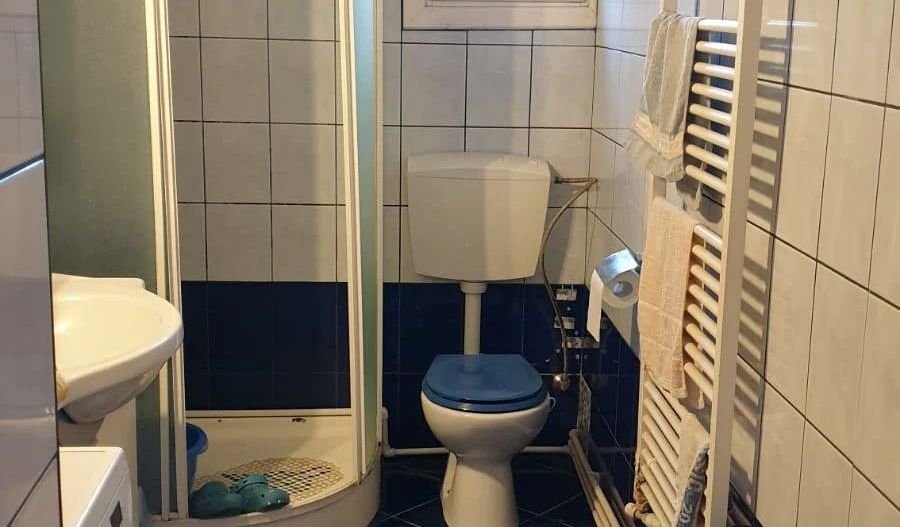 Casă cu teren generos de 1642 mp de vânzare în oraș (Zona Dâmbovița) - Poză 8