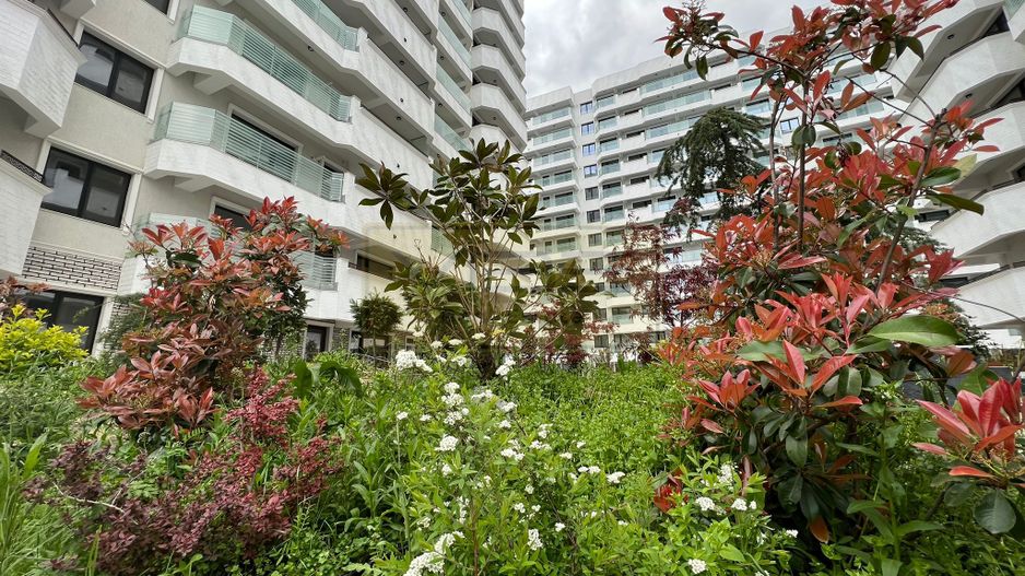 Apartament 2 camere decomandat Royal Town - Copou - Poză 30