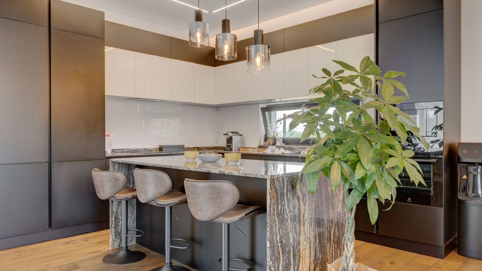 Vila Superba - Snagov Lac - Comunitate - Piscina - Ponton - Poză 7