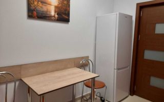 Apartament cu o cameră în Valea Lupului - Poză 5