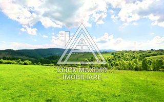 25.000 mp TEREN Ciucea – Calea Lata, jud. Cluj - Poză 6