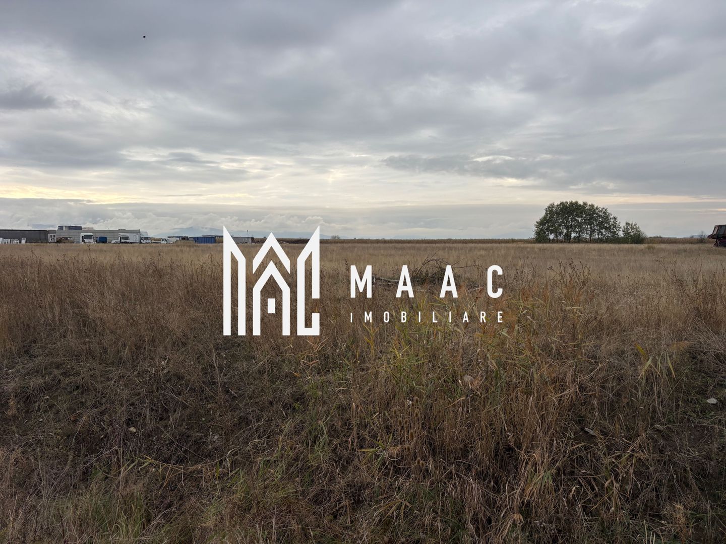 Teren de vanzare I intravilan I 3000 mp I zona vest - Poză 4