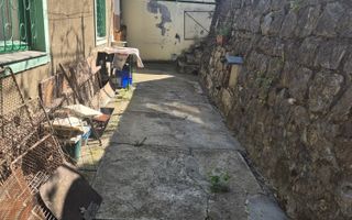 Casa langa Gradina Zoologica - Poză 10