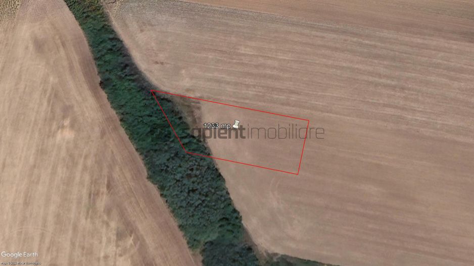 Sapient | Pachet de 4 terenuri în zona Grigorescu - Poză 4