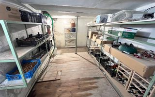 VANZARE 3 CAMERE | PARTER CASA INTERBELICA | 2 CURTI PROPRII | ZONA BELVEDERE - Poză 14