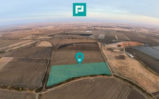 Teren arabil 68,800mp Zimandu Nou - Poză 1