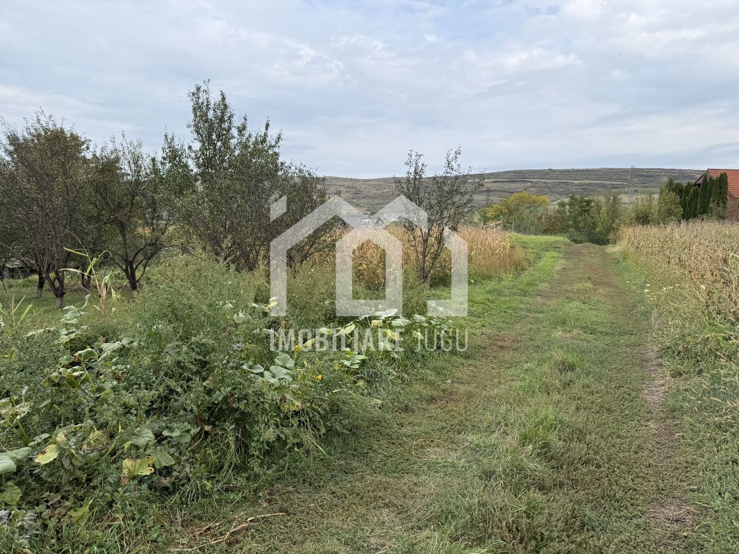 Teren construibil – 1.000 mp | Gădălin - Poză 5