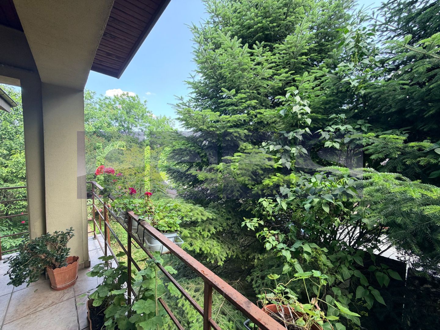 VANZARE VILA 280 MP UTILI | TEREN 900 MP | 5 CAMERE | VOLUNTARI - Poză 16