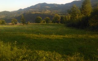 Teren intravilan 5360mp Bistrita Nasaud | Tiha Bârgăului - Poză 9