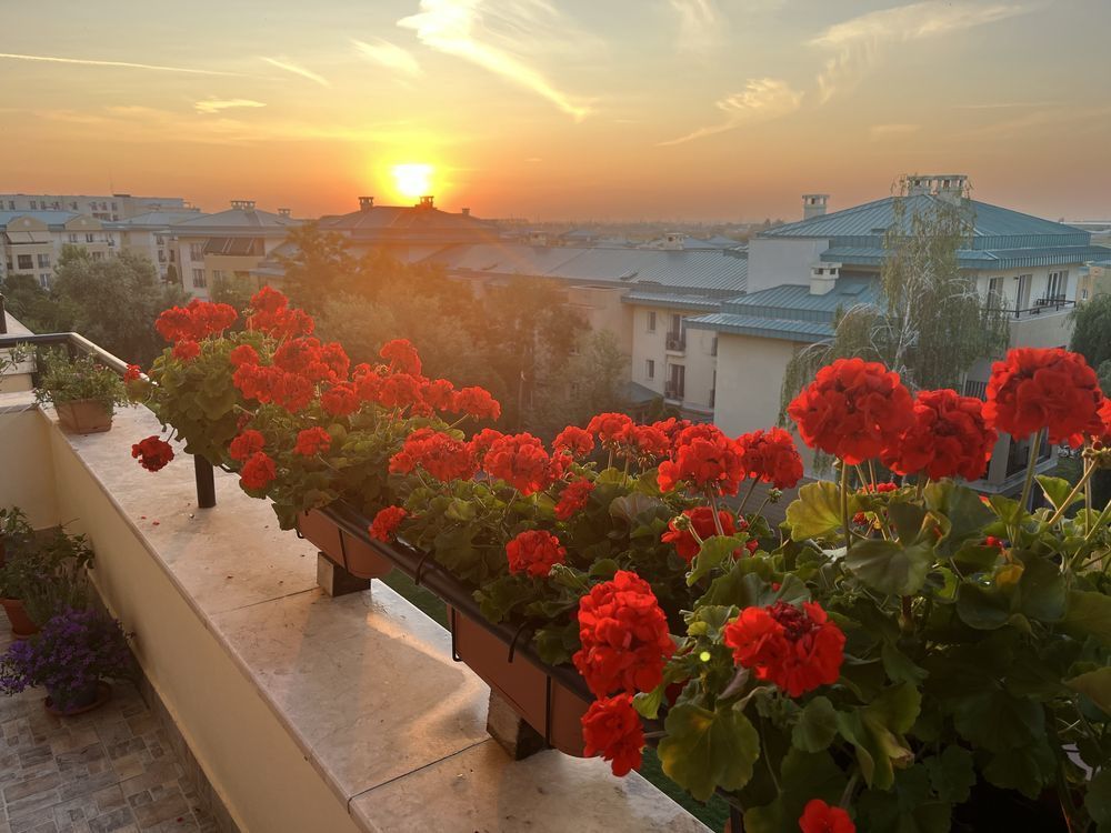 Apartament 3 camere la vanzare - Poză 8