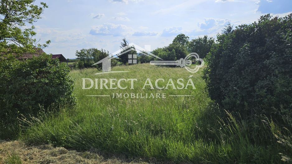 Teren intravilan 3000 mp Ernei – panorama superba, utilitati in zona - Poză 4
