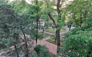 Dristor, intersectia Liviu Rebreanu cu Camil Ressu, metrou la 450 m - Poză 13