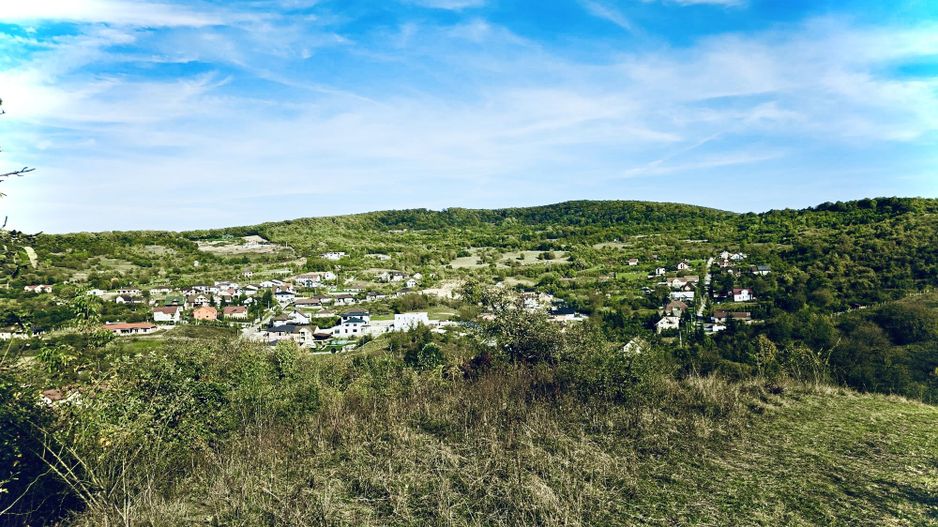 Teren de vanzare,16000 mp - parcelabil, 3 minute de centru! - Poză 3