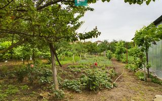 Casă ideală pentru o familie numeroasă, Sântana - Poză 16