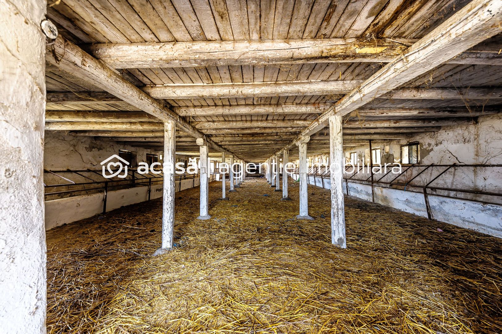 Fermă Mândruloc 2,5 ha - Poză 4