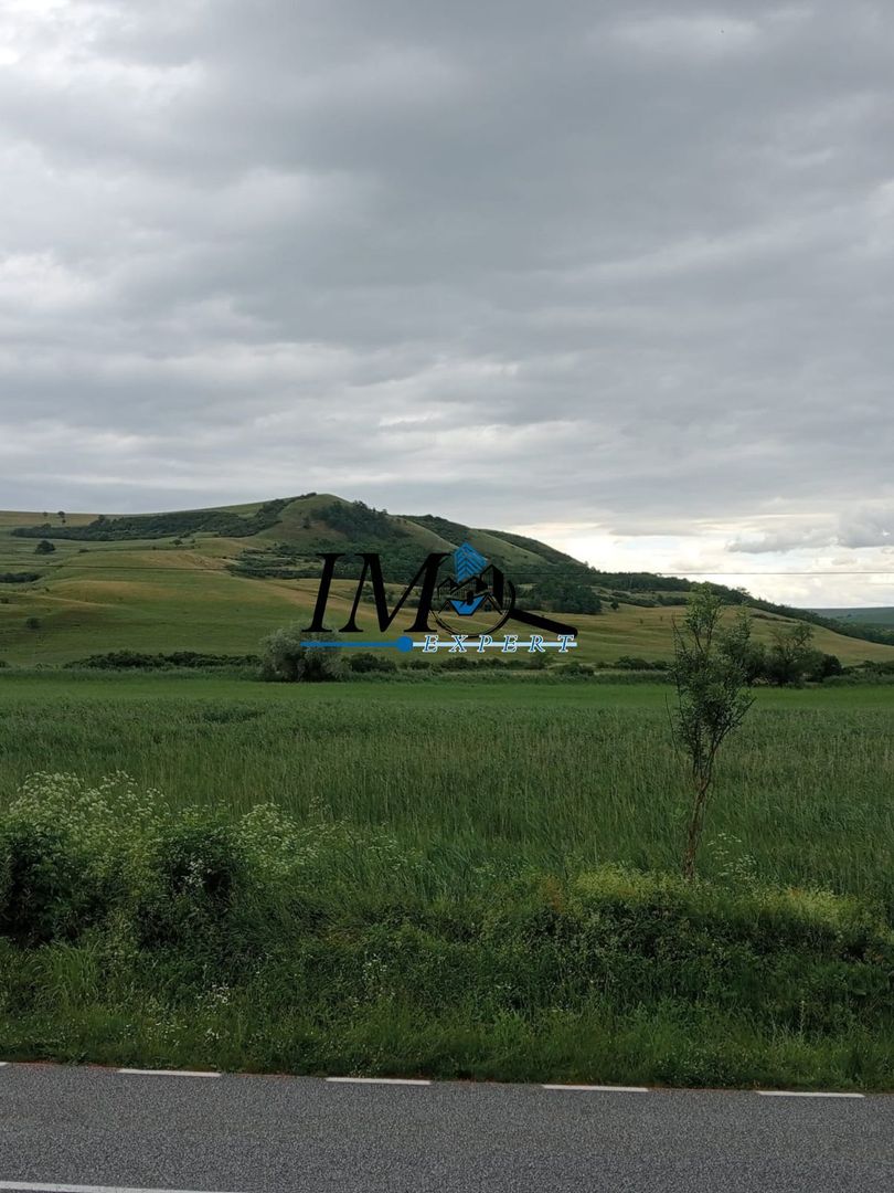 Teren extravilan Drasov - Poză 2