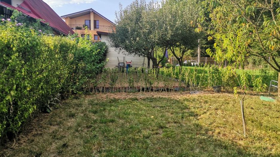 Vanzare teren intravilan Pitesti, strada Zamfiresti - Poză 3