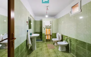Casă cu 5 camere în Vladimirescu - Poză 23