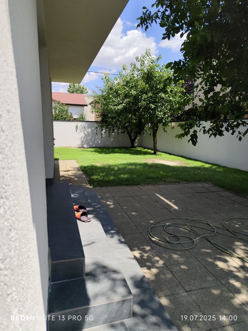 Padurea Craiului - Poză 6