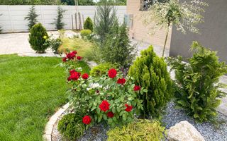 Descoperă Eleganța și Rafinamentul în Caciulati- Moara Vlasiei - Poză 9