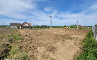 Teren intravilan  13 ari  Catallina - Poză 2