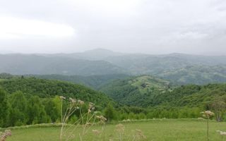 Proprietar vand teren extravilan 2ha, PANORAMA SUPER, Poiana Marului - Poză 5