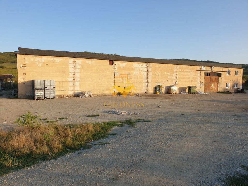 Hala industriala Dej cu platforma betonata curent trifazi - Poză 6