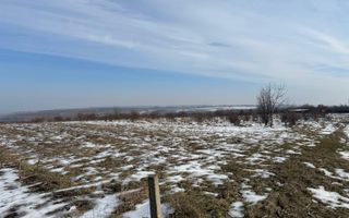 Teren de Vânzare – 7.500 mp la DN2, Fălticeni - Poză 4