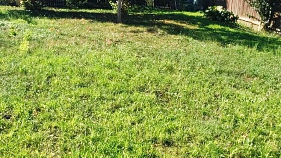 Loc de casa de 412mp in vatra satului in Sanpetru, 58000 euro - Poză 1