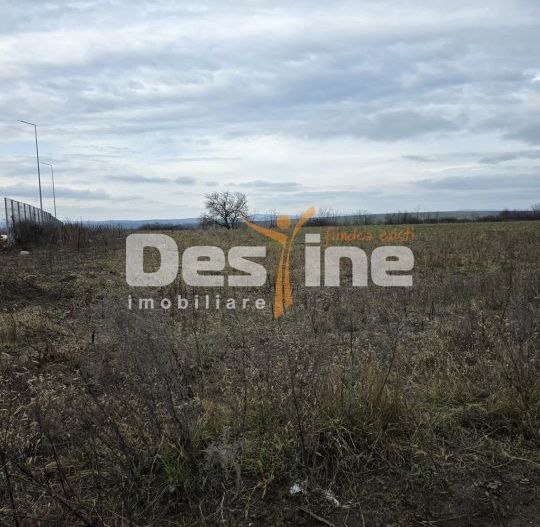 Teren intravilan 4028 mp, str Dimitrie Cantemir, Vaslui - Poză 1