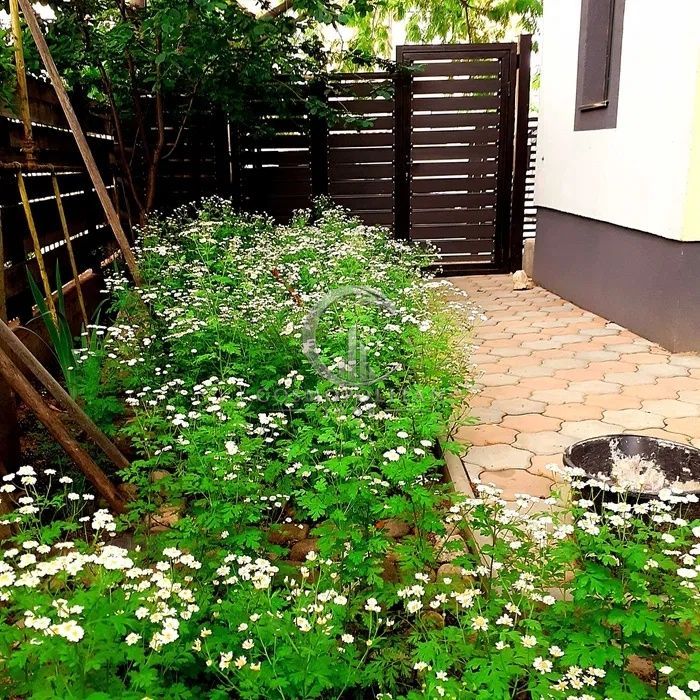 Casa P+1 zona centrala teren 365mp Pret: 205.000 neg. - Poză 7
