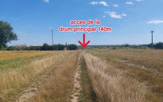 Două loturi 656 mp Ciolpani fiecare / Strada Campului - Poză 2