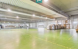 Hală industrială de 4.155 mp Calea Borșului - Poză 19