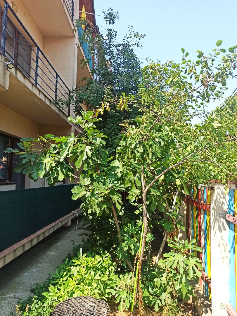 2cam.dec-et.1+parcare+gradina amenajata/15min metrou D.Leonida - Poză 41