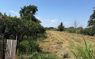 Teren intravilan 4.000 mp Comana (Budeni) | 10 €/mp negociabil | Comis - Poză 8
