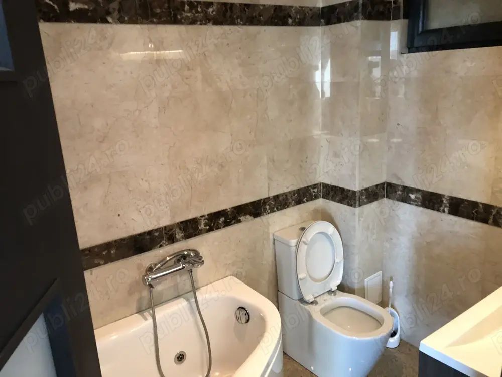 VANZARE | DOROBANTI| CLADIRE BIROURI | PUTUL LUI ZAMFIR - Poză 4