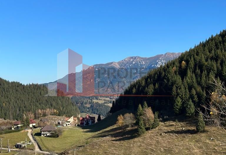 Teren Fundatica intravilan 4500 mp - Poză 13