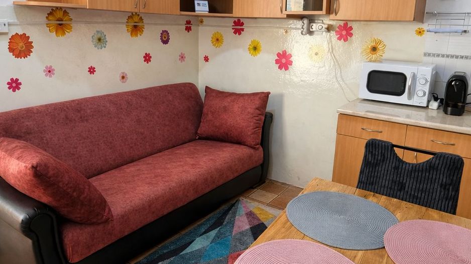 Apartament 1 Camera De Inchiriat | Ultracentral | Piata Unirii | UMF - Poză 3
