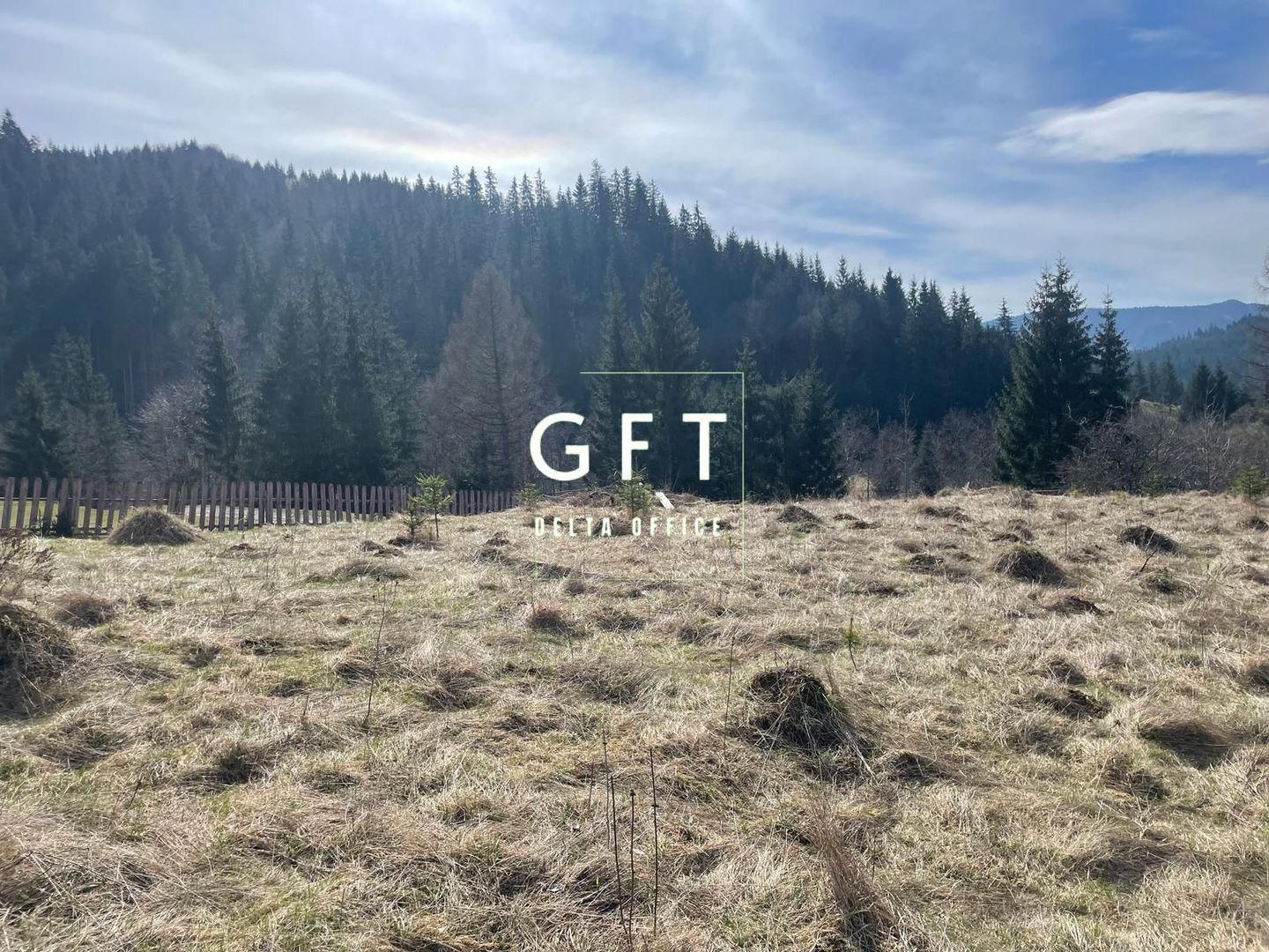 Teren intravilan parcelabil- 17703 mp,Colibita - Poză 3