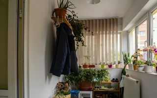 Casa individuala Sacele, 250 mp + 40 mp garaj + 556 mp curte - Poză 6