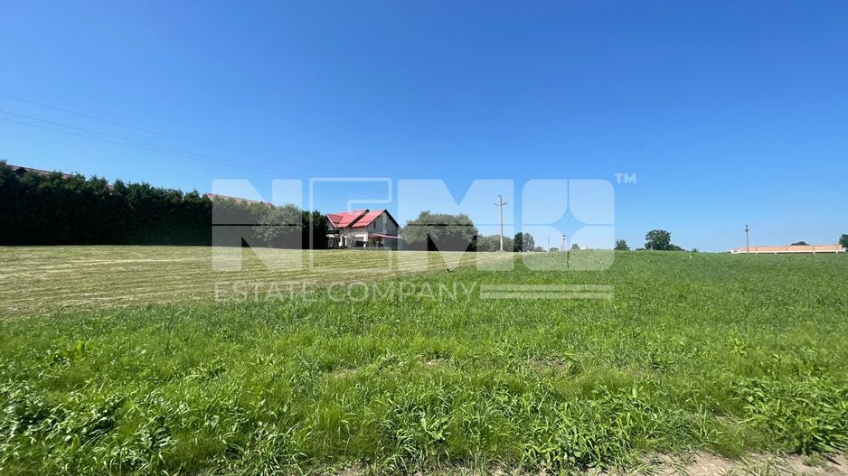 Teren Intravilan 2.462 mp – Ideal pentru Construcție sau Investiție - Poză 3