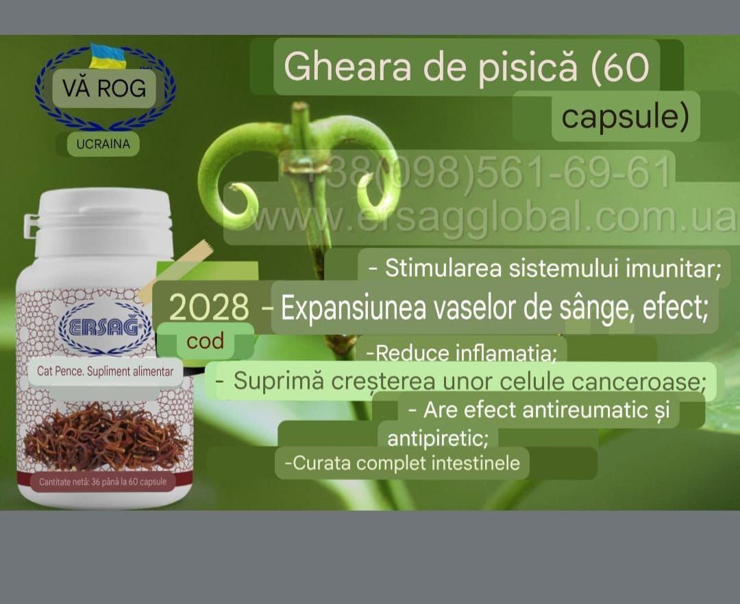 Apartament 1 camera - Poză 3