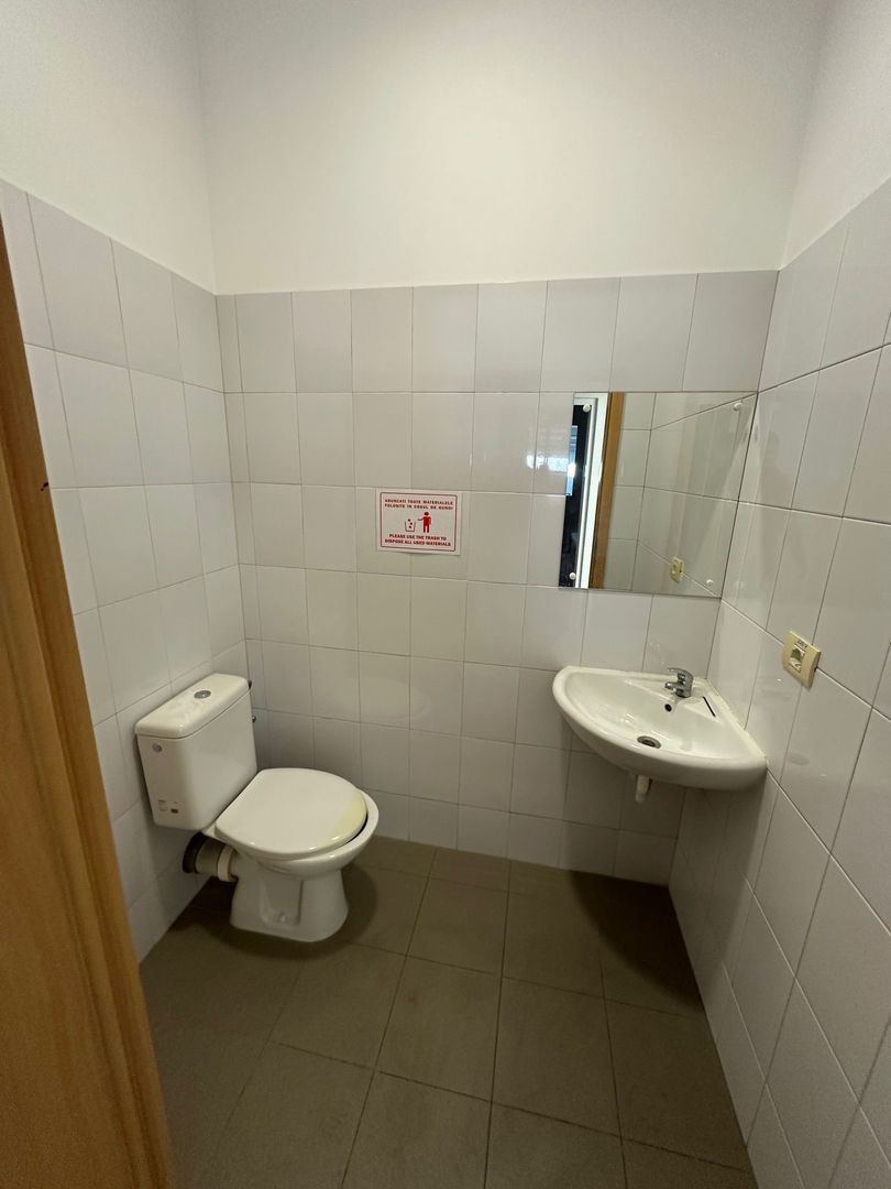 Spatiu productie/ depozitare  zona Sagului - Poză 19